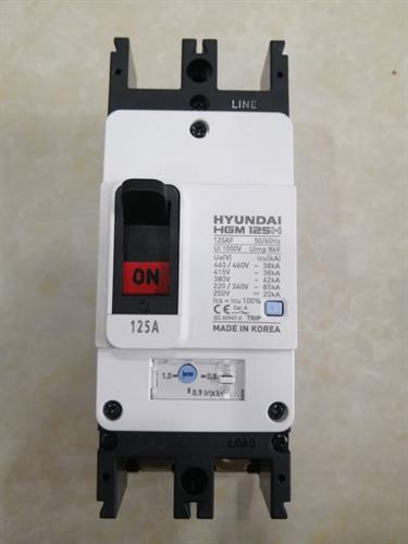 MCCB HYUNDAI 2P 125A 85kA ( HGM125H-F )